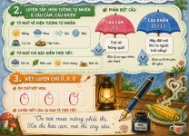 luyện tập hiện tượng tự nhiên- tiếng việt 3.png