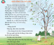 quả hồng của thỏ con - tiếng việt 3.png