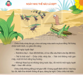 ngày như thế nào là đẹp.png
