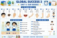 Từ vựng Tiếng Anh lớp 3 Global success Unit 4 Our bodies.jpg