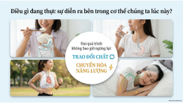 Bài 21- Khái quát về trao đổi chất và chuyển hóa năng lượng (2).png