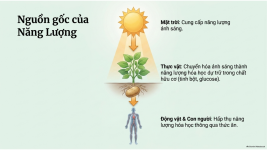 Bài 21- Khái quát về trao đổi chất và chuyển hóa năng lượng (6).png