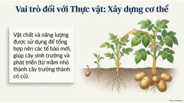 Bài 21- Khái quát về trao đổi chất và chuyển hóa năng lượng (9).png