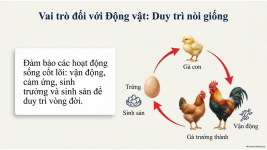 Bài 21- Khái quát về trao đổi chất và chuyển hóa năng lượng (10).png