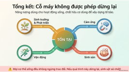 Bài 21- Khái quát về trao đổi chất và chuyển hóa năng lượng (11).png