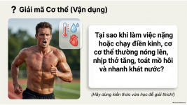Bài 21- Khái quát về trao đổi chất và chuyển hóa năng lượng (12).png