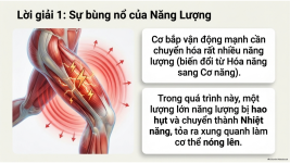 Bài 21- Khái quát về trao đổi chất và chuyển hóa năng lượng (13).png