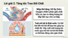 Bài 21- Khái quát về trao đổi chất và chuyển hóa năng lượng (14).png
