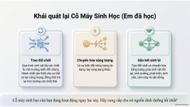 Bài 21- Khái quát về trao đổi chất và chuyển hóa năng lượng (15).png