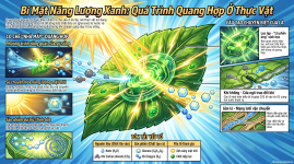 Quang_hợp_ở_thực_vật.png