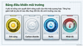 Bài 22- Quang hợp ở thực vật (7).png