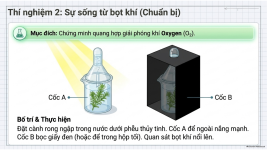 Bài 22- Quang hợp ở thực vật (13).png