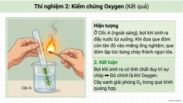 Bài 22- Quang hợp ở thực vật (14).png