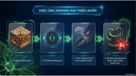 Bài 23- Một số yếu tố ảnh hưởng đến quang hợp (7).png