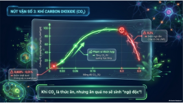 Bài 23- Một số yếu tố ảnh hưởng đến quang hợp (8).png