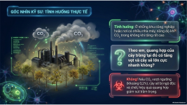 Bài 23- Một số yếu tố ảnh hưởng đến quang hợp (9).png