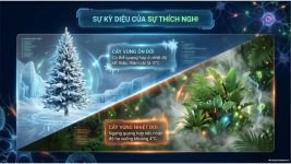Bài 23- Một số yếu tố ảnh hưởng đến quang hợp (11).png