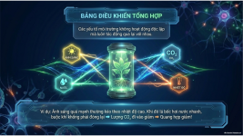 Bài 23- Một số yếu tố ảnh hưởng đến quang hợp (12).png