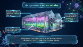 Bài 23- Một số yếu tố ảnh hưởng đến quang hợp (13).png