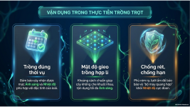 Bài 23- Một số yếu tố ảnh hưởng đến quang hợp (14).png