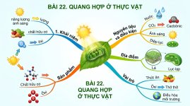 Sơ_đồ_tư_duy_quang_2K_202609100027.jpeg