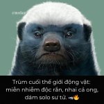 FB_IMG_1759363375783.jpg