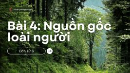 Nguồn gốc loài người - Hình ảnh tiến hóa.png