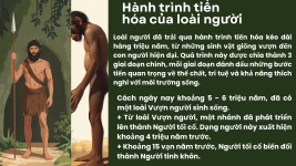 Nguồn gốc loài người - Hình ảnh tiến hóa (2).png