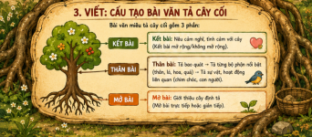 cấu tạo bài văn tả câu cối.png