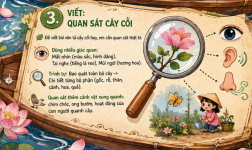 viết quan sát cây cối.png