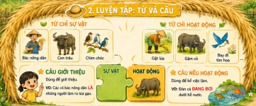 luyện tập từ và câu. tiếng việt 3.png