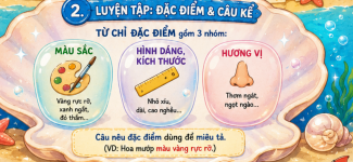 câu nêu đặc điểm  và câu kể.png