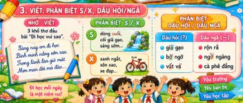 viết phân biệt s và x- tiếng việt 3.png