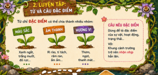 từ và câu đặc điểm - tiếng viêt 3.png