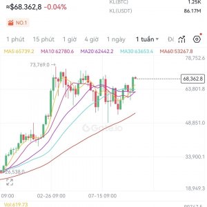 Bitcoin hướng tới vùng giá đỉnh mới 80k