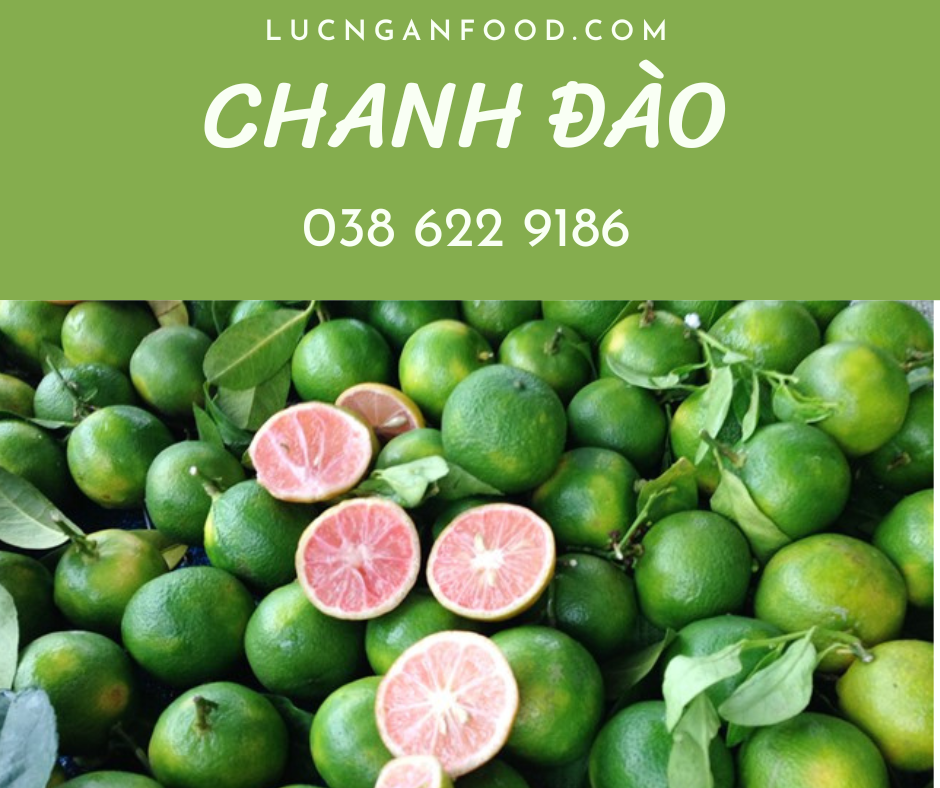 Chanh đào Lục Ngạn - 038 622 9186